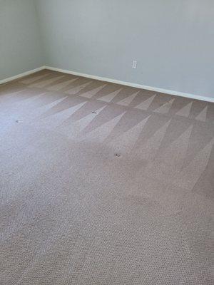 Oxi Fresh Carpet Cleaning