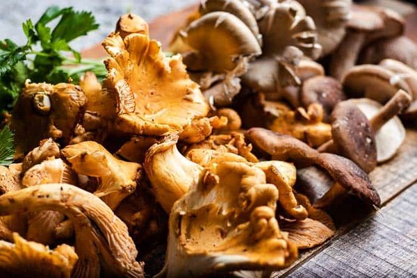 Smithfield Gourmet Mushrooms