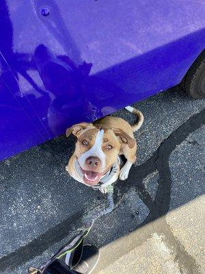 Appreciating the shade provided by the food truck