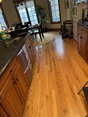 Clean sparkly kitchen