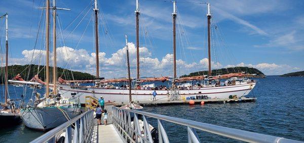 Downeast Windjammer Cruise Lines