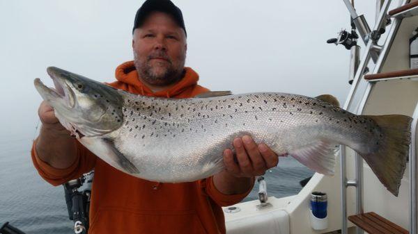 brown trout in Sheboygan, Wisconsin