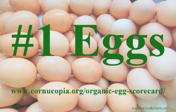 FarmStand Eggs come from our farm at Bonifay Florida and have been judged the number 1 organic eggs in the country! Come on by and get some!