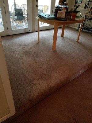 Unique Carpet Care