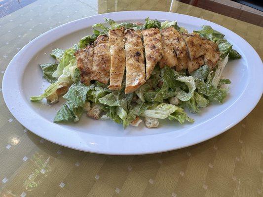 Chicken Caesar Salad