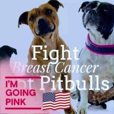 Fight Breast Cancer Not Pit Bulls