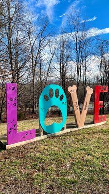 Charlottesville Albemarle SPCA