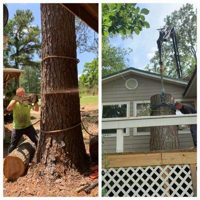 Diamond Tree Service formerly Weems Tree and Landscape Service