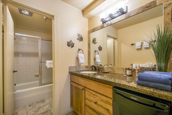 Master Bath (1BR)