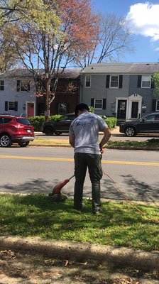 One of our workers cutting the grass yesterday afternoon