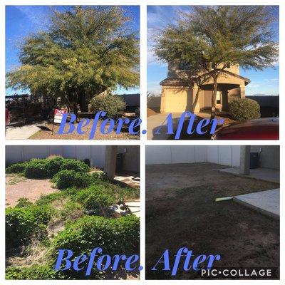 One of our Tree trim and yard clean ups.