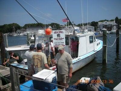 Sea Dog Sport Fishing