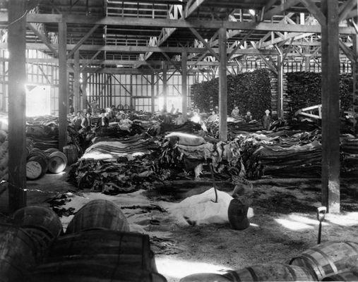 1885 photo of Pacific Tannery