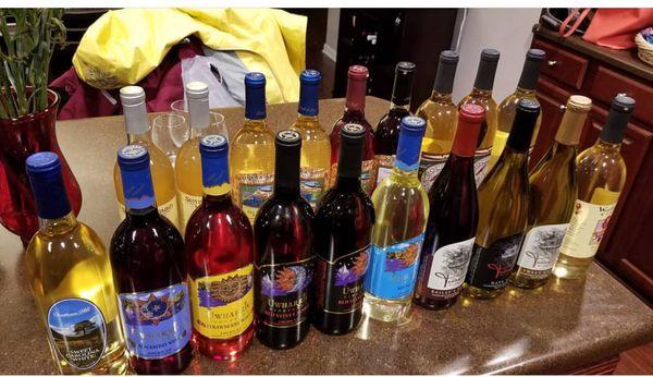 Our wine purchases!