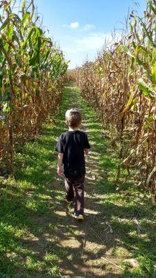 Sissons' Pumpkin Patch