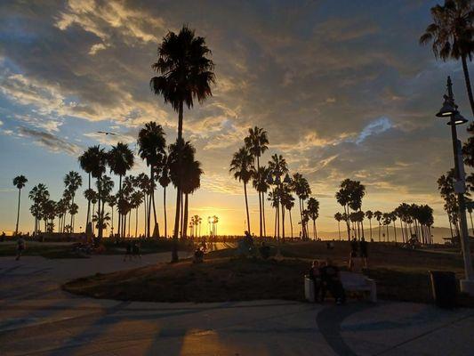 From Jewish Venice to the African American Venice Beach community to the Silicon Beach Venice Beach community the VIP Tour guides of Venice