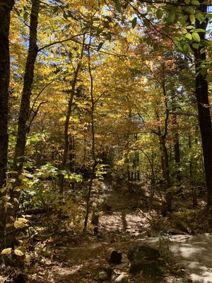 Spectacular Fall colors