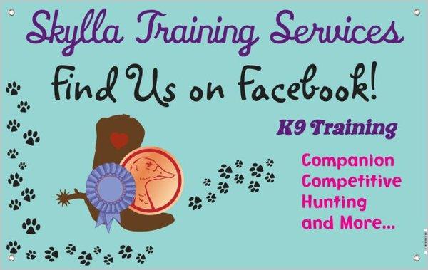 Skylla Training Services