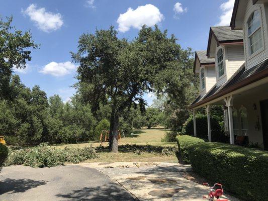 Fair Oaks Ranch Tree Service