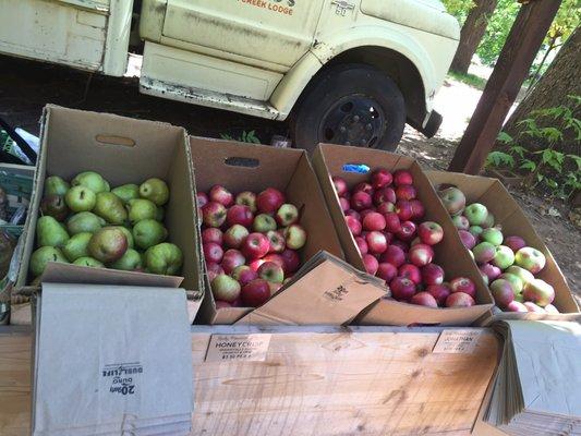 Fresh apples and pears