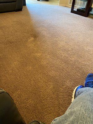 Best Value Carpet Cleaning