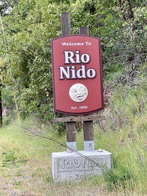 04.03.21 find large redwoods along Sonoma County's Russian River at Rio Nido