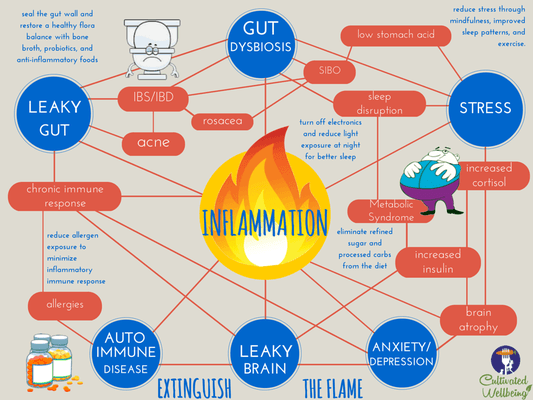 Gut Brain Connection