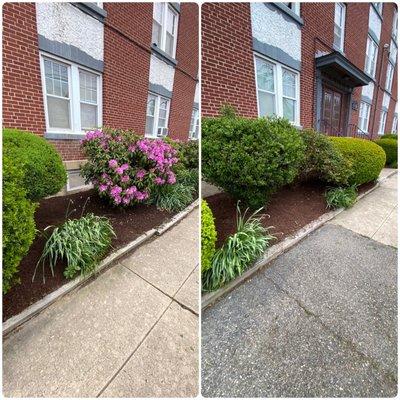 Mulch Installation/Weed Removal