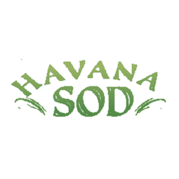 Havana Sod