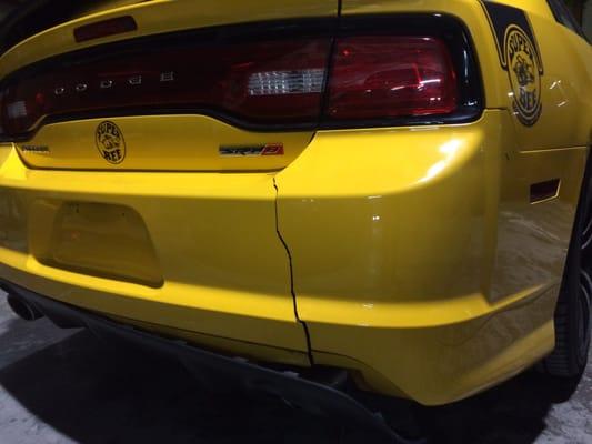 Fixed Bumblebees Butt