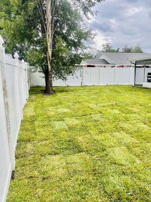 New ST AUGUSTINE sod installation