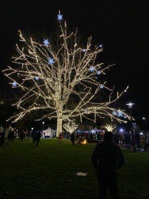 Beautiful night at redmond lights