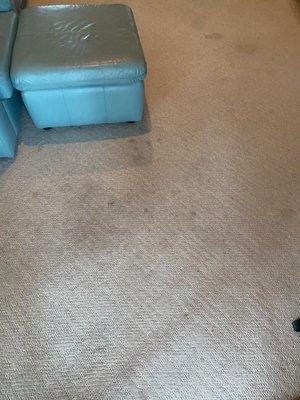 dirty carpet