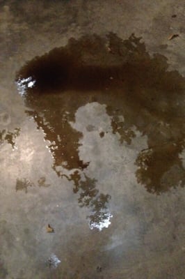 Oil on my garage floor after Mr Speedy changed my oil!!!