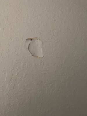 Holes throughout the apartment that weren't fixed prior to moving