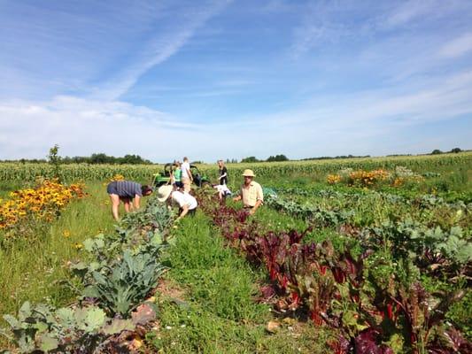 Bertrand Farm