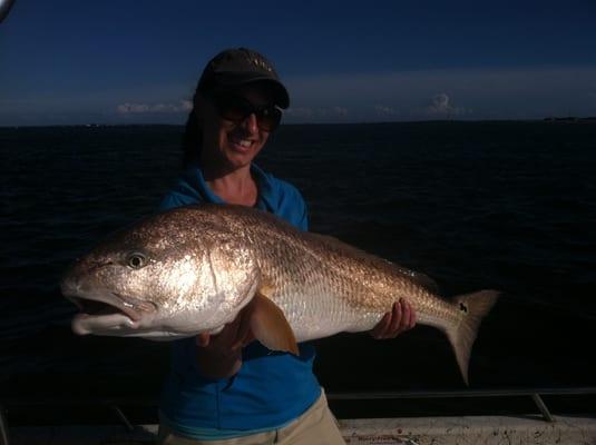 Another monster redfish!  http://www.avidangling.com/