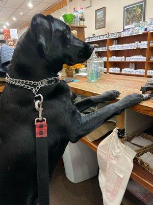 Welcome to Back to Basics, How may I help you? (We are dog friendly!)