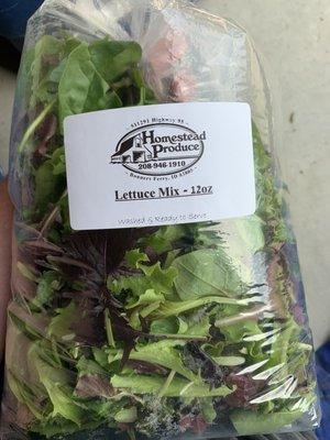 Fresh lettuce mix