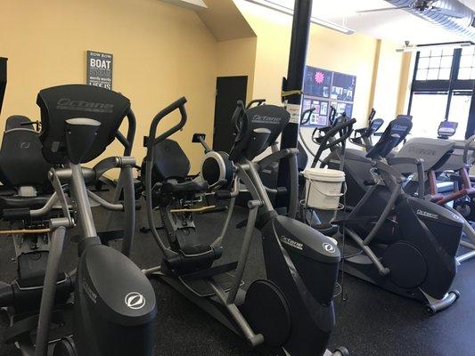 Cardio machines, rowing machines, not pictured is a stair climber and Jacob's Ladder.