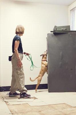 Spice inspecting school building in New Hampshire for bed bugs.