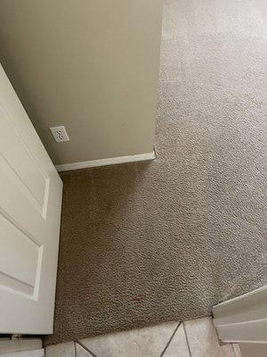 Carpet cleaning