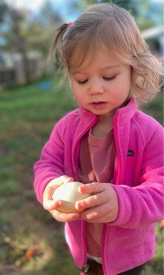 Little Explorers Discovery School