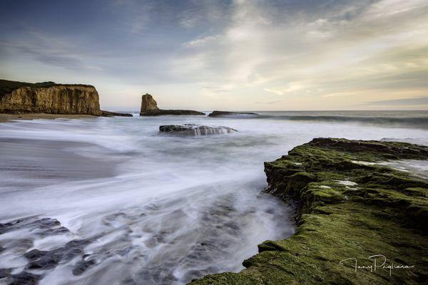 Title: Euphoria Location: 4-Mile Beach - Santa Cruz, CA