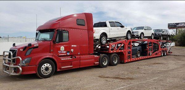 We offer the best service of both car hauling and freight operations!