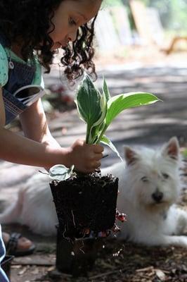 East Lake Community Learning Garden