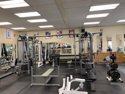 Life Fitness 7 stack Jungle gym