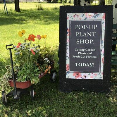 Online Garden Nursery & Pop-Up Plant Shops.