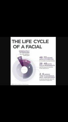 Life cycle of a facial