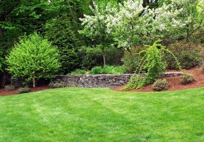 This could be your yard - simple, tranquil, and private